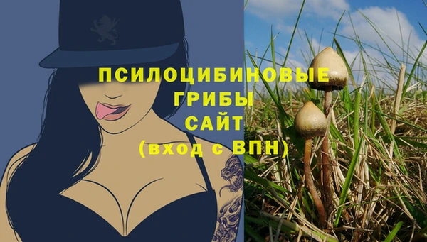 ешки Алзамай
