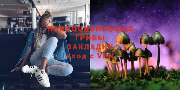 ешки Алзамай